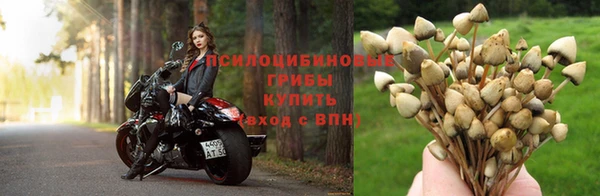 марихуана Михайловка